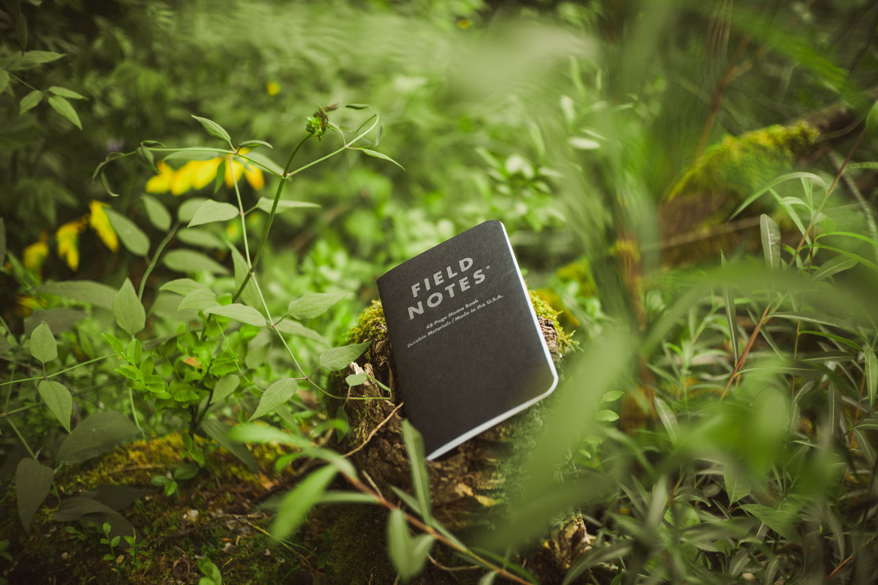 text, communication, selective focus, green color, nature, western script, plant, growth, no people, day, outdoors, grass, number, information, leaf, plant part, sign, close-up, land, freshness, message