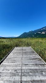 Scenic view of field against clear blue sky