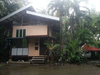 House against trees