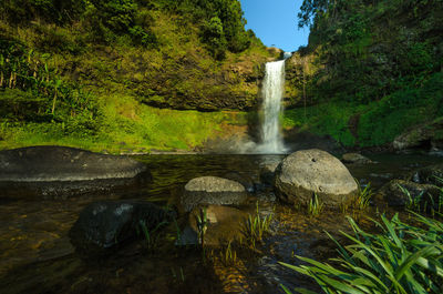 Scenic view of waterfall in forest