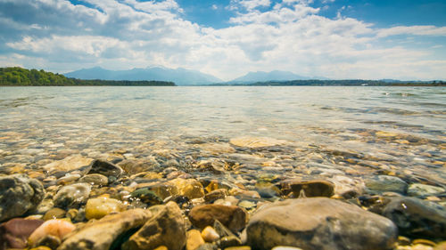 View of pebbles on beach