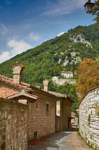 Houses by trees against sky
