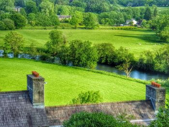 Scenic view of grassy field