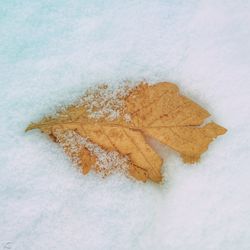 Snow covered landscape