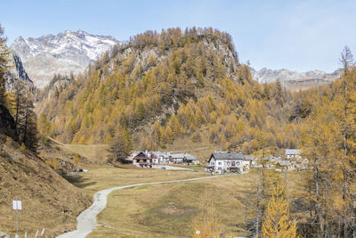 The colours of autumn at the alpe devero, little village in the mountains