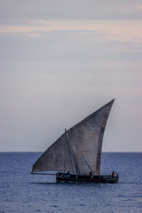 Sailboat sailing on sea against sky