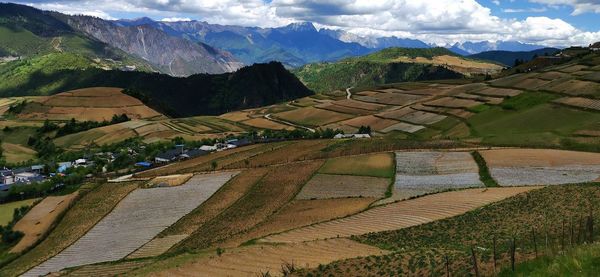 Scenic view of agricultural field against sky