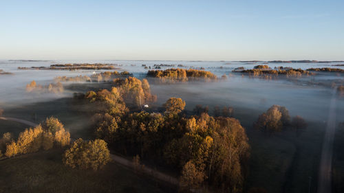 High angle view of trees and plants against sky