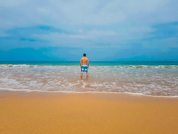 Rear view of man on beach against sky