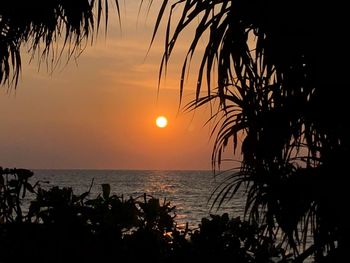 Silhouette trees by sea against sky during sunset