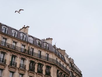 Low angle view of building against sky and a seagull on ile saint louis in paris near seine river