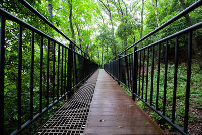 View of footbridge in forest