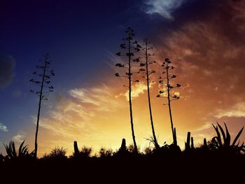 Low angle view of silhouette trees against sky at sunset