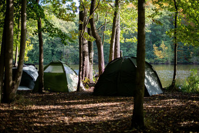 View of tent in forest