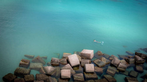 High angle view of duck swimming in sea