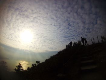 Low angle view of silhouette trees against sky during sunset