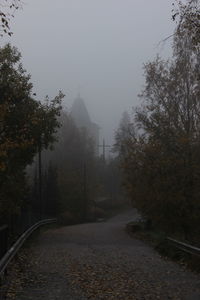 Road passing through trees during foggy weather