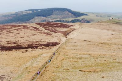 View of trail passing through forest