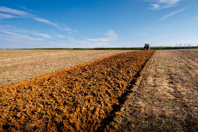 Scenic view of agricultural field against sky