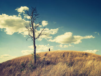 Low angle view of bare tree on grassy hill against cloudy sky