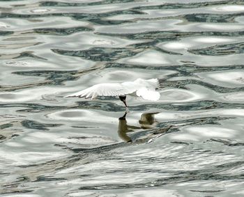 Woman in water