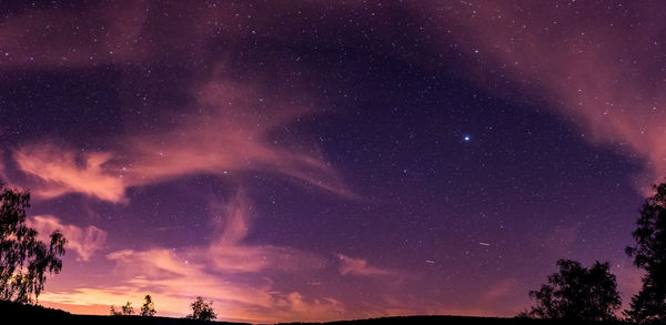 Low angle view of trees against sky at night