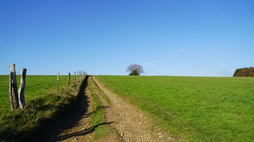 Dirt road amidst field against clear sky