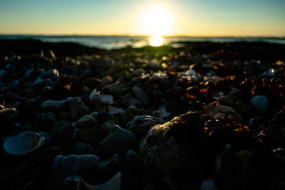 Close-up of pebbles on beach