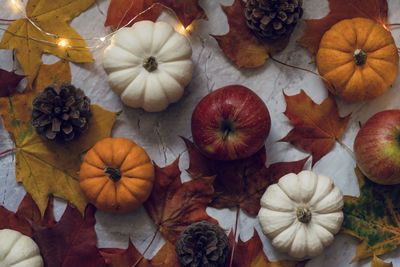 High angle view of pumpkins on table