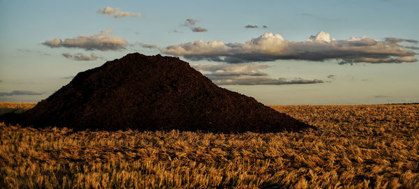 Scenic view of field against sky during sunset