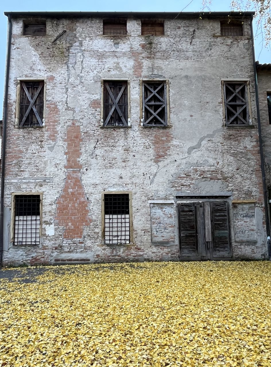 architecture, built structure, building exterior, window, building, no people, day, residential district, house, wall, facade, nature, old, outdoors, entrance, door, abandoned, autumn, sky, wall - building feature, history, home