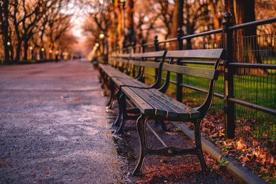 Empty benches in park during autumn