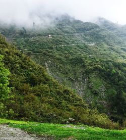 Scenic view of green landscape