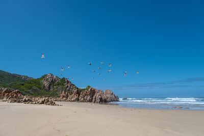 Scenic view of beach against clear blue sky