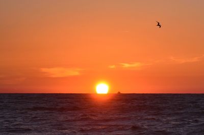 Scenic view of sea at sunset