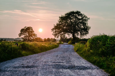 Road amidst trees against sky during sunset