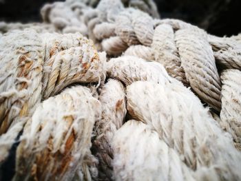 Close-up of rope