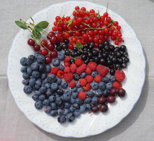 High angle view of berries in plate on table