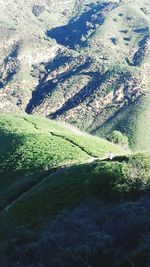 High angle view of trees on land