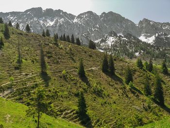 Scenic view of trees and mountains against sky