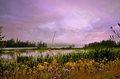 Scenic view of lake against cloudy sky