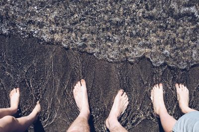 Low section of people standing at beach