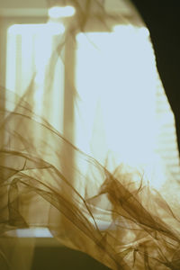 light