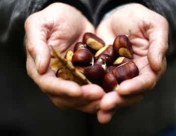 Close-up of hand holding tomato