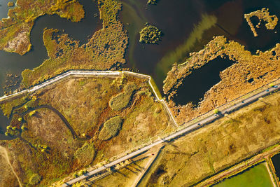 Aerial view of delta in autumn