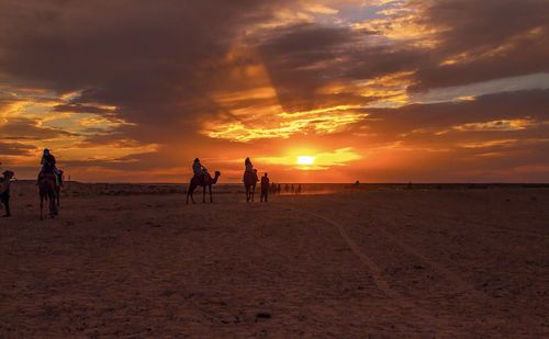 Silhouette people on beach against sky during sunset