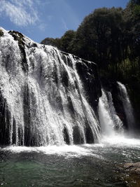 Low angle view of waterfall in forest