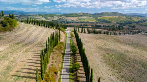 Scenic view of agricultural field against sky