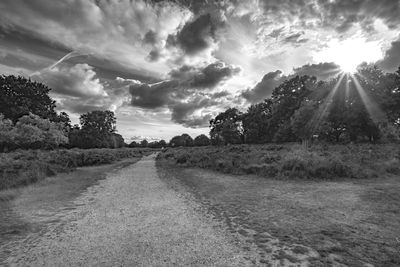 Road amidst trees on field against sky