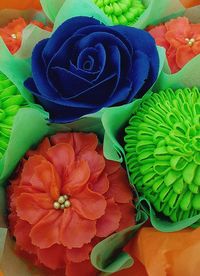 Close-up of multi colored rose